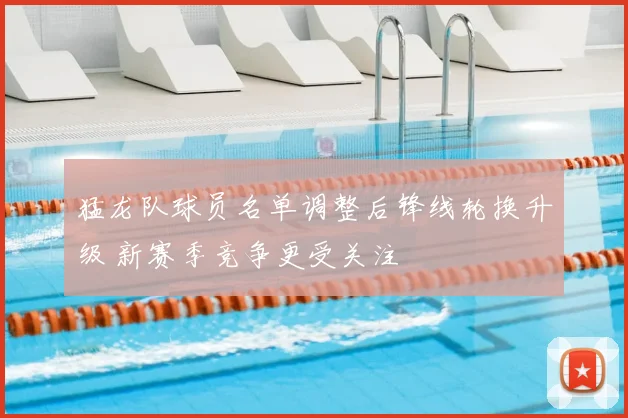 猛龙队球员名单调整后锋线轮换升级 新赛季竞争更受关注