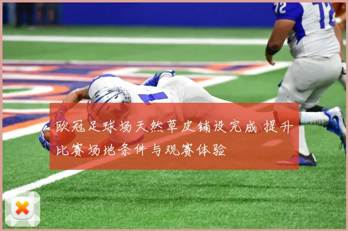 欧冠足球场天然草皮铺设完成 提升比赛场地条件与观赛体验