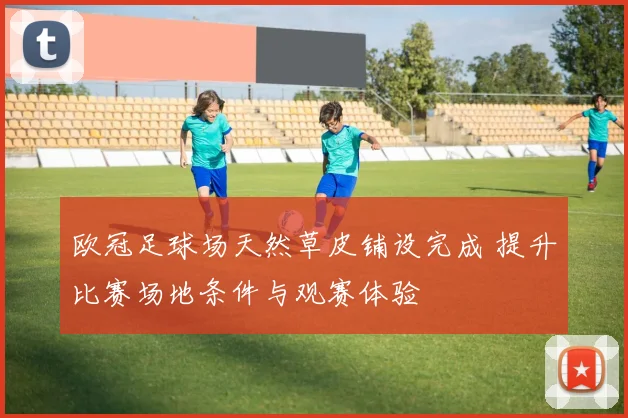 欧冠足球场天然草皮铺设完成 提升比赛场地条件与观赛体验