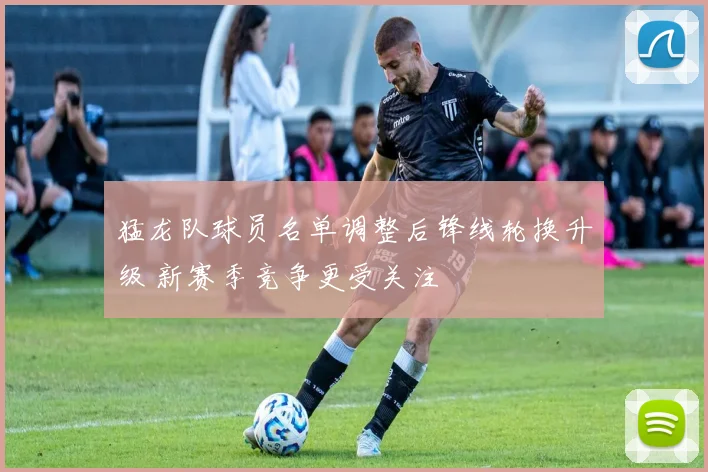 猛龙队球员名单调整后锋线轮换升级 新赛季竞争更受关注